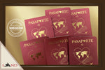 A.Invitación Passport - Old Money Style
