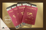 A.Invitación Passport - Old Money Style
