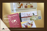 A.Invitación Passport - Old Money Style