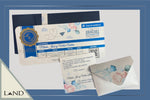 Invitación Pasaje de Avión -Pan de Oro Foil